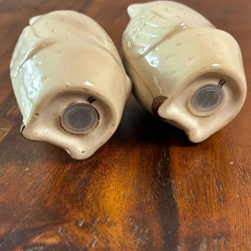Pier One Imports Ceramic Owl Salt and Pepper Shakers Cream Brown Set of 2